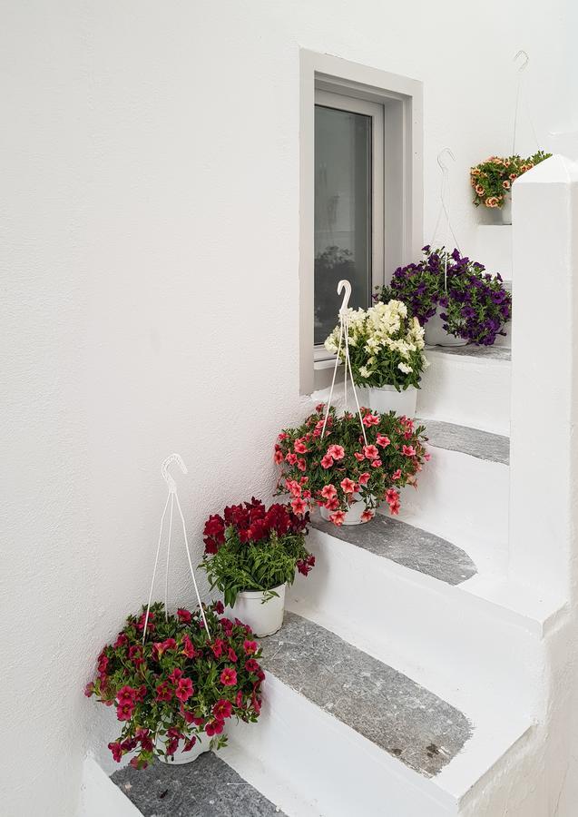 Aniko Suites Chora Mykonos Town المظهر الخارجي الصورة